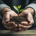 Weathered hands holding a green shoot in dark soil, representing renewal in Isaiah by Isaiah.