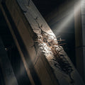 A cracked concrete beam with exposed rebar, illuminated by a dramatic slice of light in a dark space.