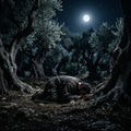 A person praying face down in a moonlit olive garden at night.
